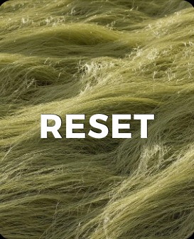 Close-up of soft grass