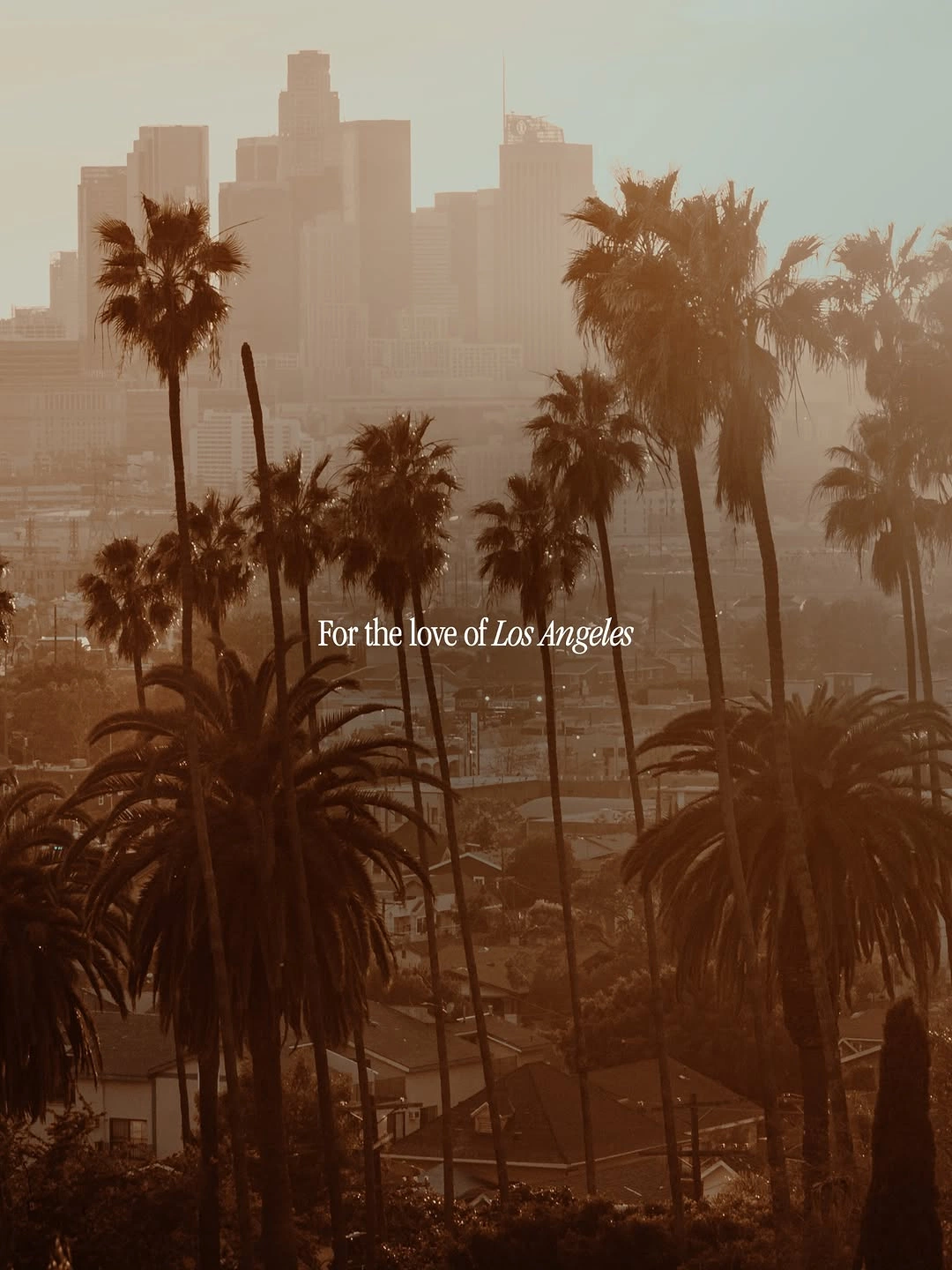 Palm trees looking toward the Los Angeles skyline at sunset